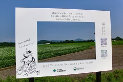 Δ
